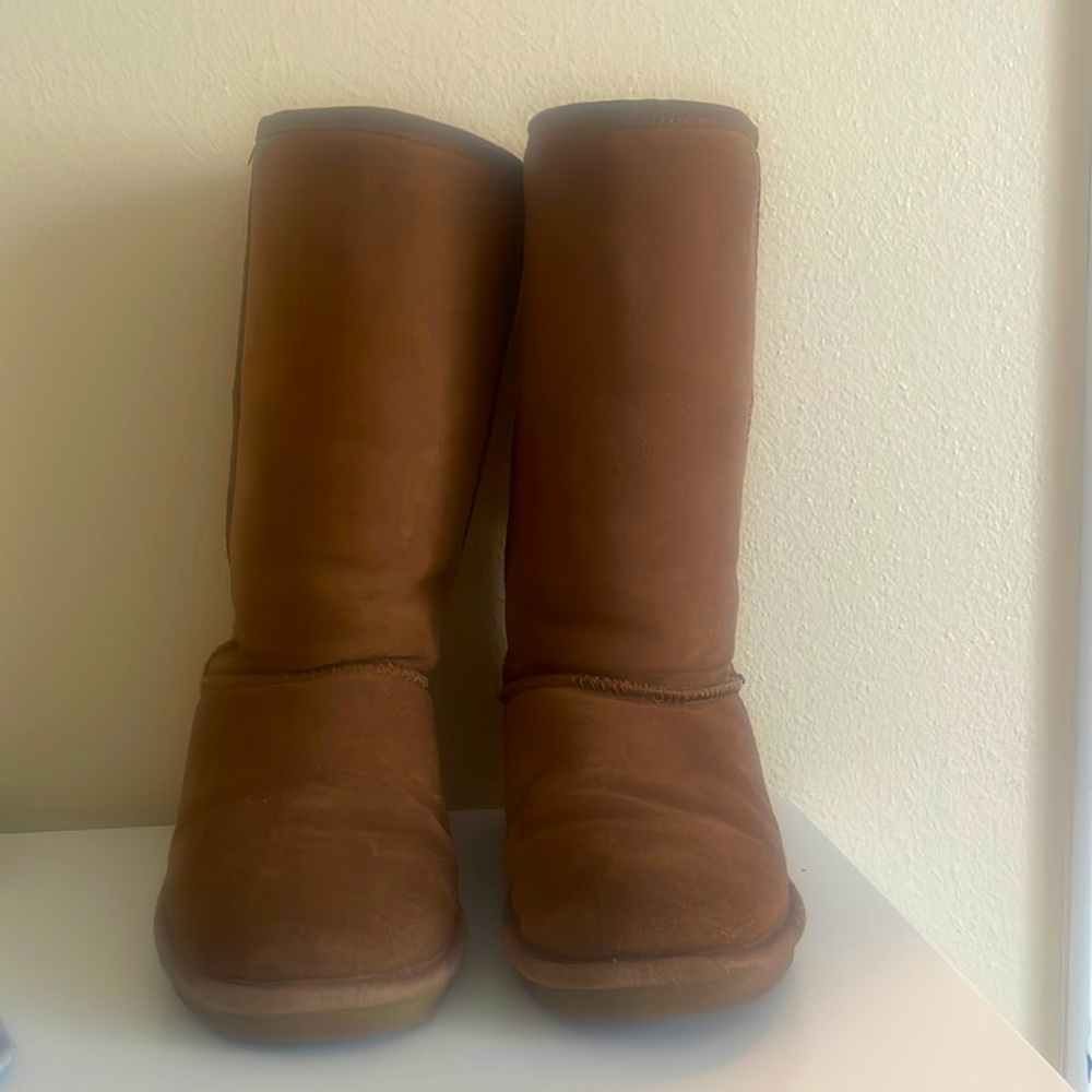 Bear paw tall boots